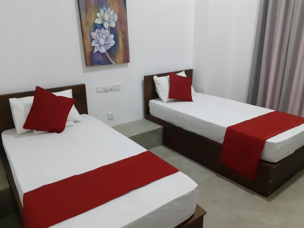 Everdew Kandy Rooms מראה חיצוני תמונה