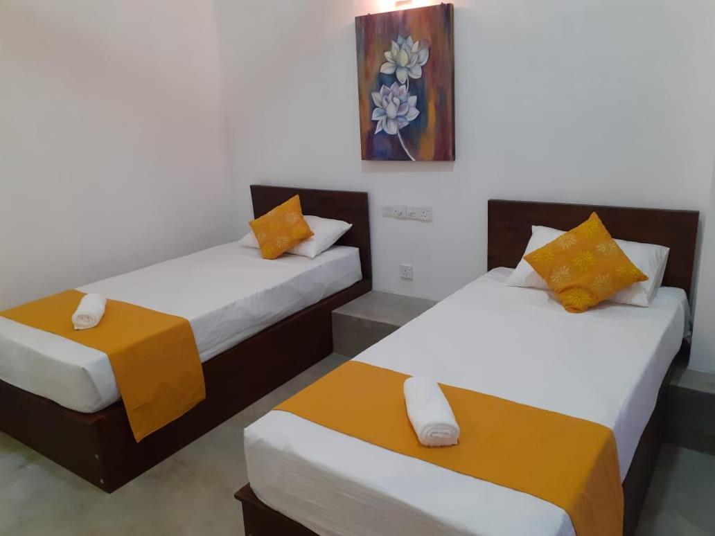 Everdew Kandy Rooms מראה חיצוני תמונה